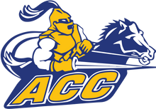 Load image into Gallery viewer, Aurora Central Catholic - Grad Year Package