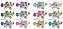 Load image into Gallery viewer, Century Class Ring - Most Popular!
